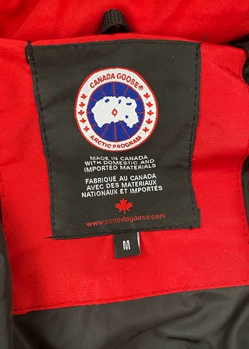 Erkek Mont - Görsel 3