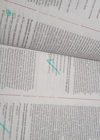 Beden Renk Paragraf soru bankası