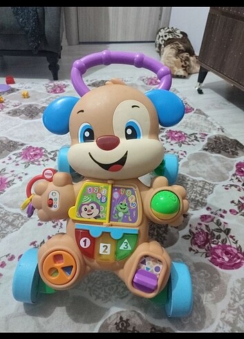 Fisher prise yürüme arkadaşı kopekcik - Görsel 2