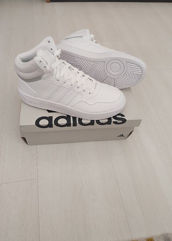 Adidas 31