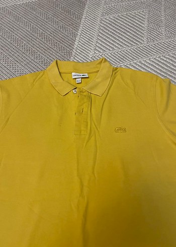 Lacoste xxl