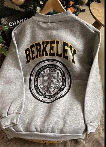 Berkeley Gri Sweatshirt 