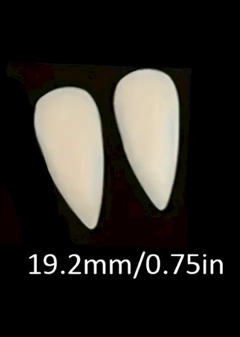Vampir diş 1 çift - Görsel 6