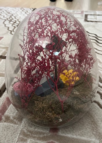 teraryum - Görsel 5