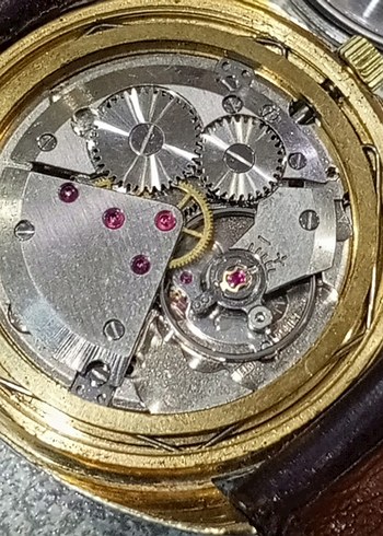 zentra Safari kurmalı swiss - Görsel 7