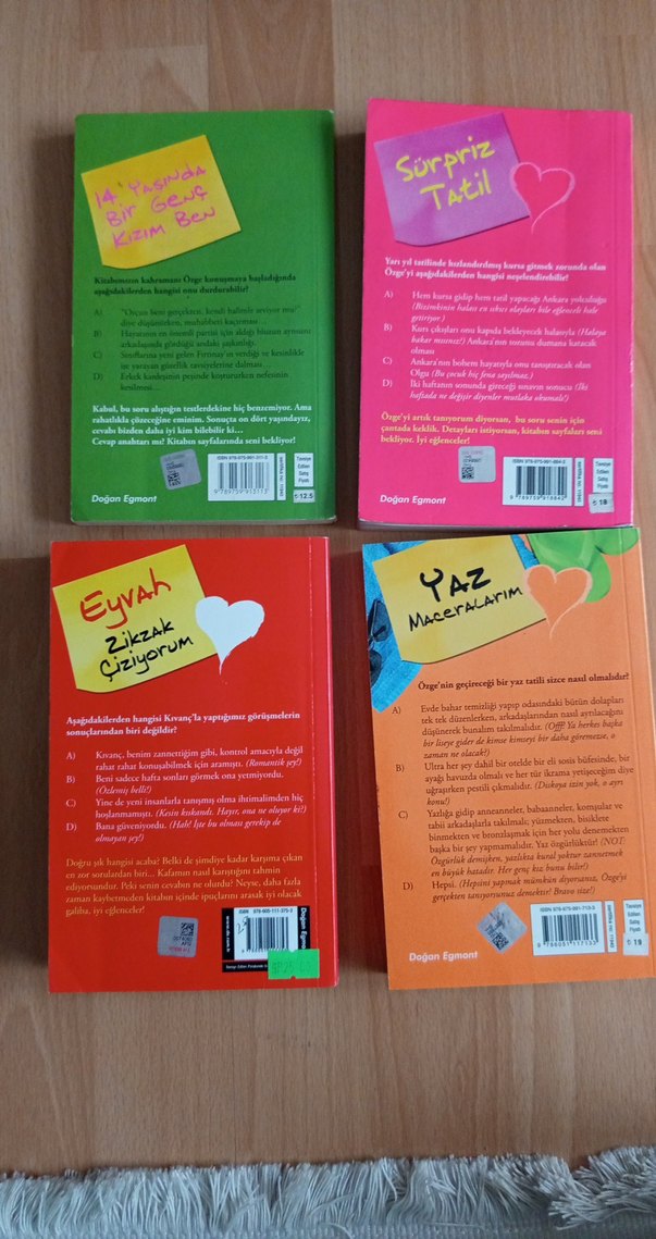 Deniz Erbulak - 14 Yaşında Bir Genç Kızım Ben Serisi - Görsel 2