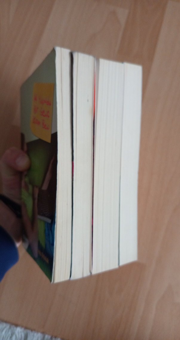 Deniz Erbulak - 14 Yaşında Bir Genç Kızım Ben Serisi - Görsel 3