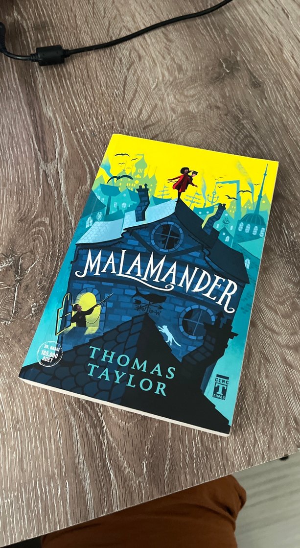 Genç timaş fantastik roman - Görsel 3