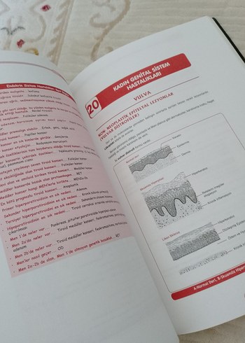 Patoloji 2 TUSDATA TUS Hazırlık Kitabı - Görsel 3