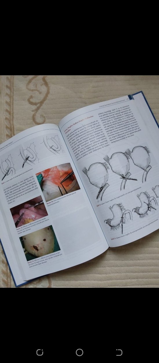Mide Kanserine Minimal İnvaziv Yaklaşım Kitabı - Görsel 2