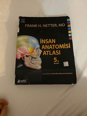 NETTER ANATOMİ ATLASI