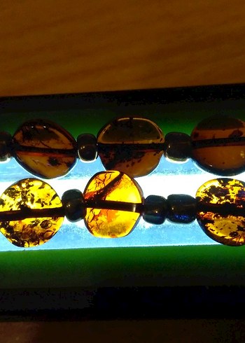 Gardrops ilanı