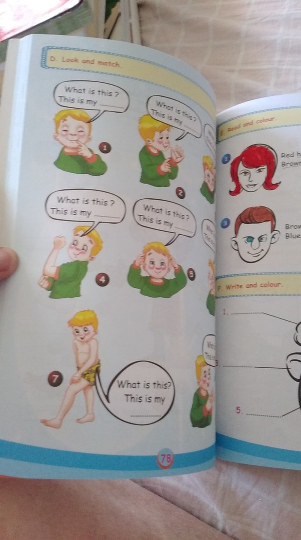 My Friend 2. Sınıf İngilizce Kitabı - Görsel 3