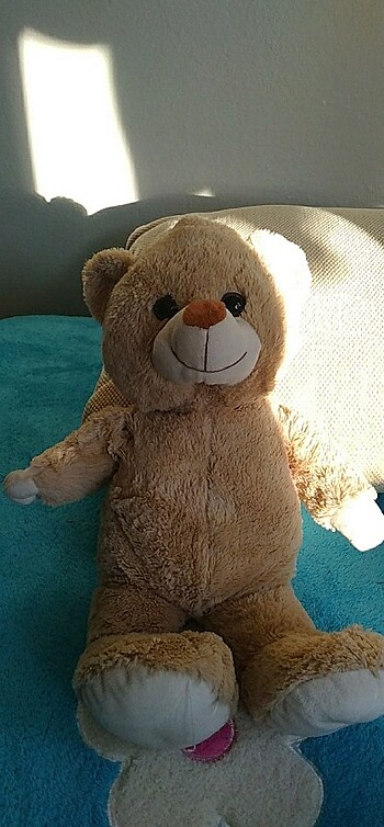 Vardem marka ayıcık - Görsel 2