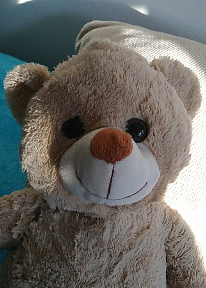 Vardem marka ayıcık  - Görsel 5