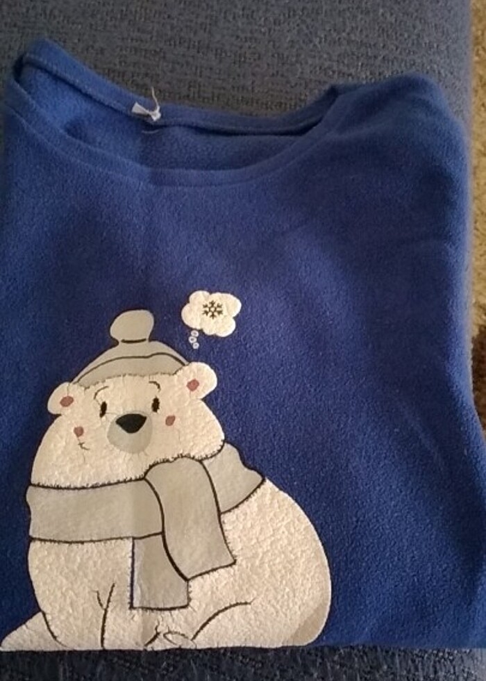 Ince polar ust - Görsel 2