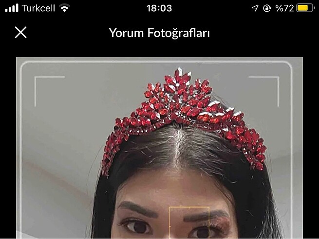 Diğer Kına tacı