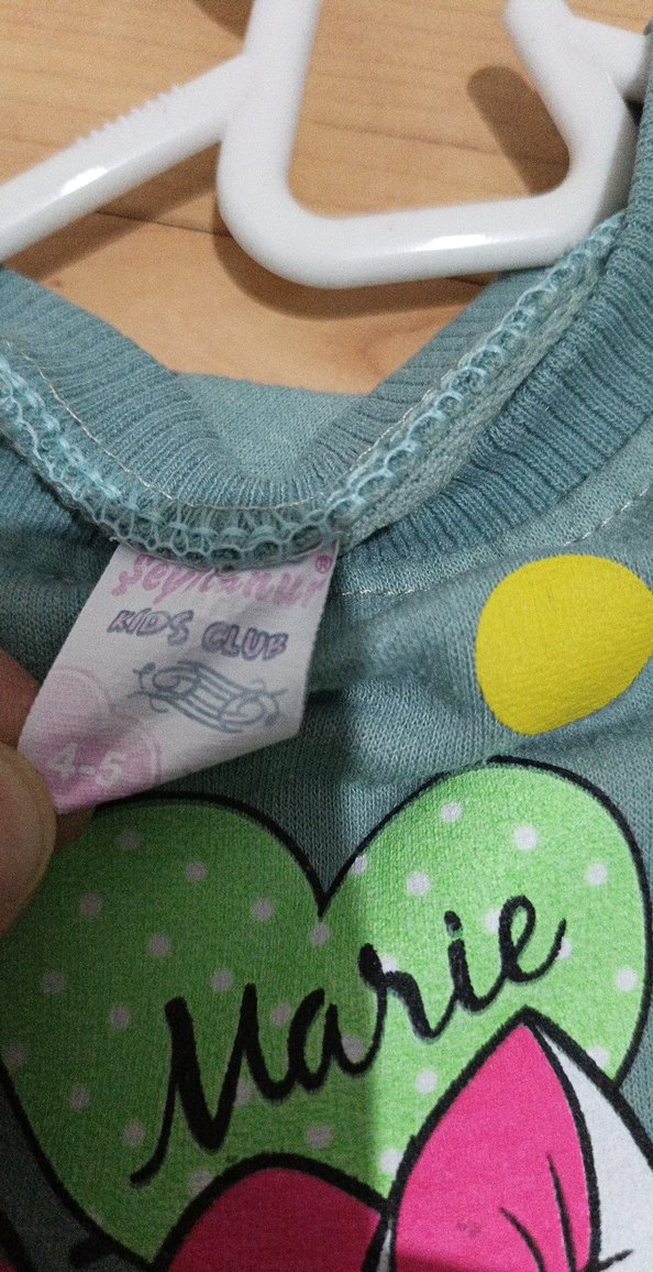 Kız Çocuk Yeşil Baskılı Sweatshirt ve Eşofman Takımı - Görsel 4