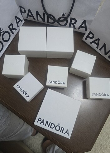 Beden Pandora Kutuları