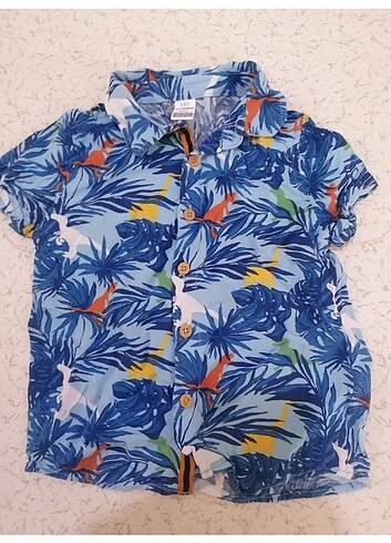 LC Waikiki Çocuk gömlek