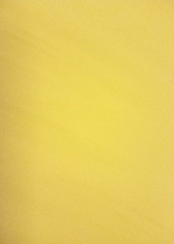 Kapüşonlu Erkek Çocuk Mont e bebek marka - Görsel 3