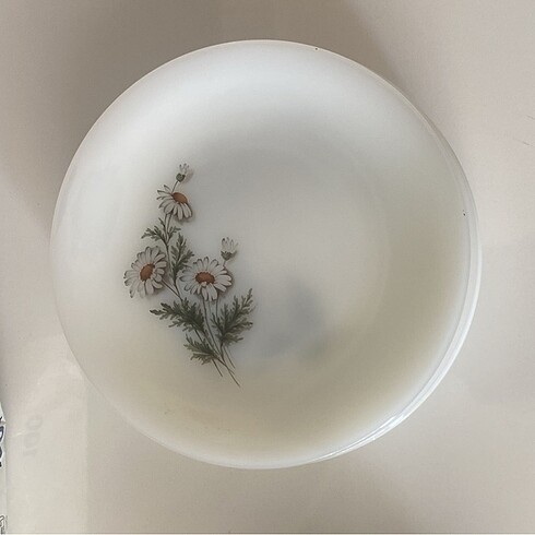 Arcopal Fransız Yemek tabağı
