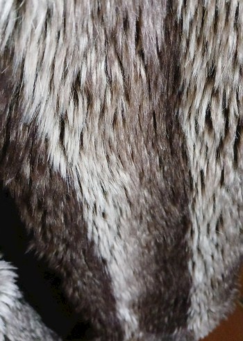 Kahverengi Kürklü Kadın Yelek - Görsel 3