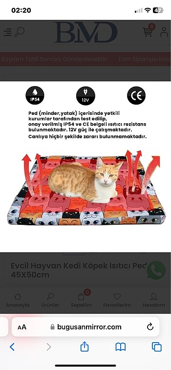 Isıtıcı kedi minderi ??????