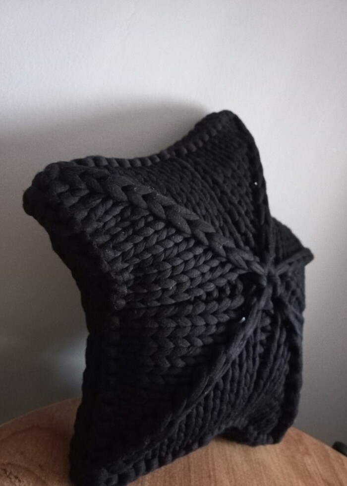 DENİZ YILDIZI KIRLENT - Görsel 2