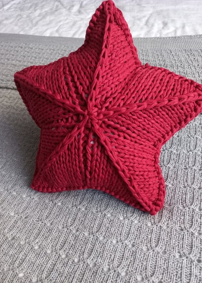 DENİZ YILDIZI KIRLENT - Görsel 2