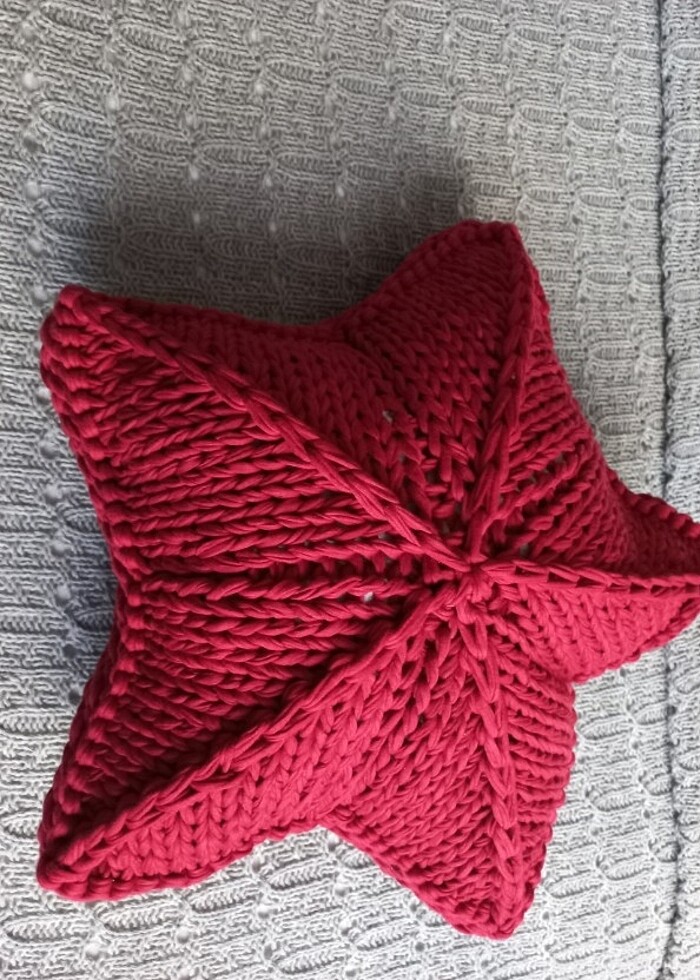 DENİZ YILDIZI KIRLENT - Görsel 4