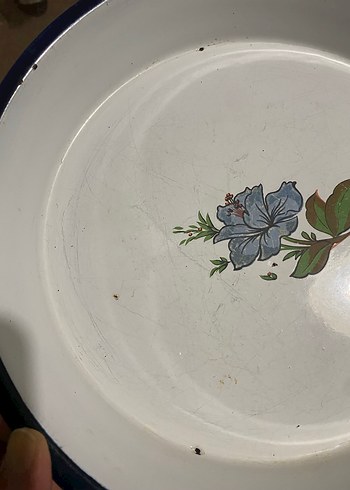 Mavi Kenarlı Çiçek Desenli Tabak - Görsel 2