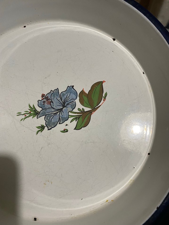 Mavi Kenarlı Çiçek Desenli Tabak - Görsel 3