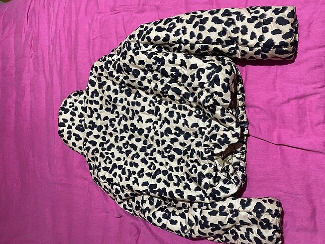 Diğer Leopar mont