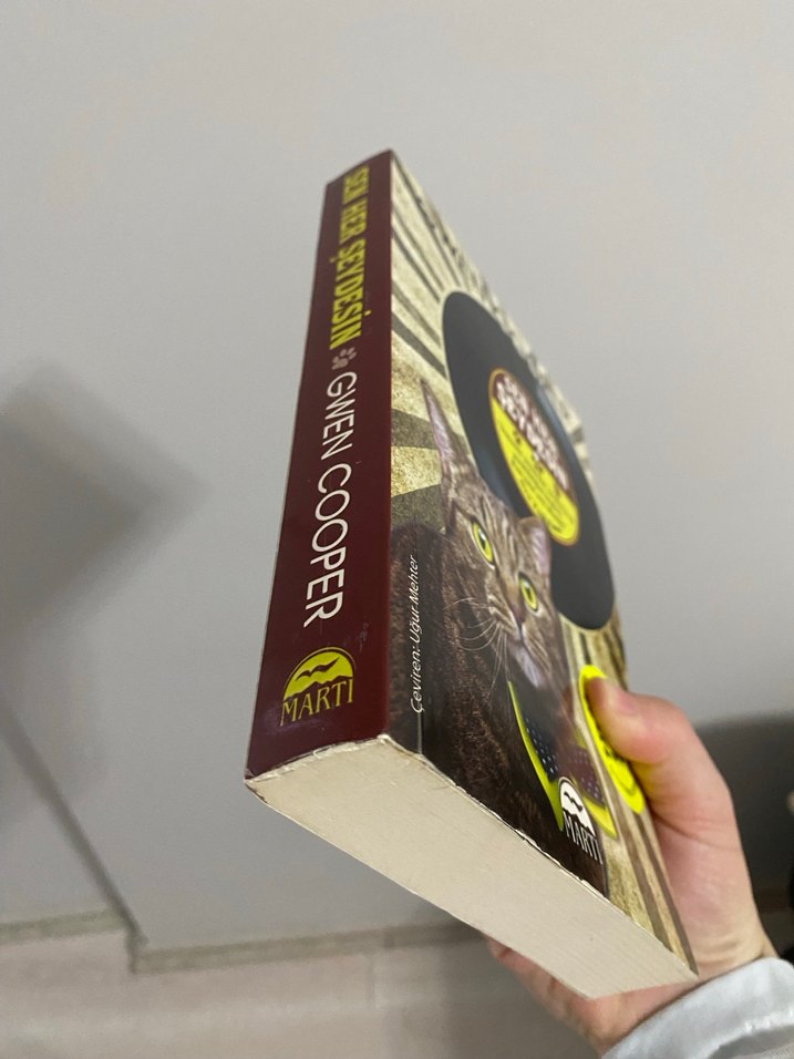 Sen Her Şeydesin - Gwen Cooper - Görsel 2