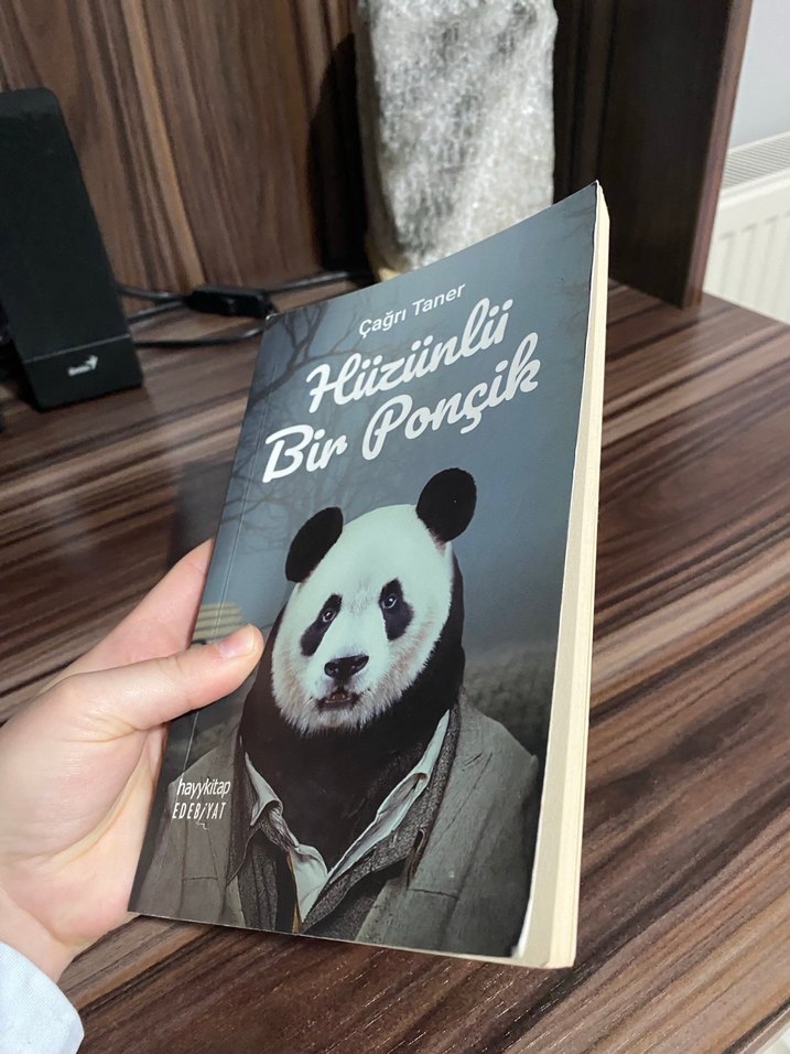 Hüzünlü Bir Ponçik - Çağrı Taner - Görsel 2