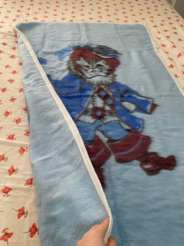 Mavi Baskılı Çocuk Battaniyesi - Görsel 5