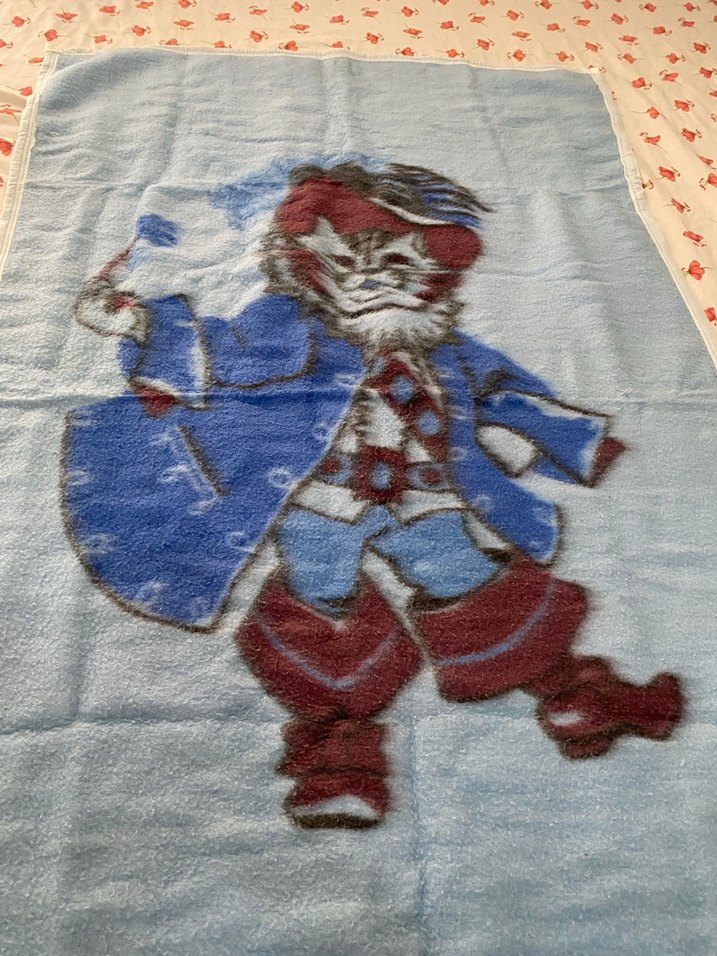 Mavi Baskılı Çocuk Battaniyesi - Görsel 3