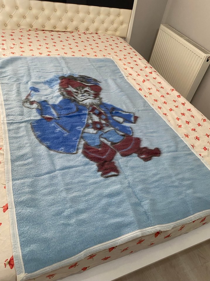 Mavi Baskılı Çocuk Battaniyesi - Görsel 2