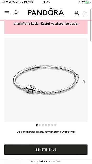 Beden gri Renk Pandora & charm