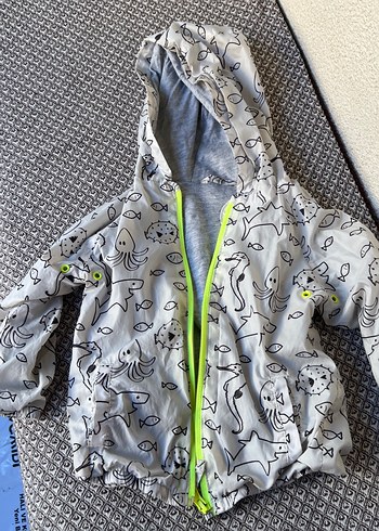 Kapüşonlu Gri Baskılı Erkek Çocuk Yağmurluk - Görsel 2