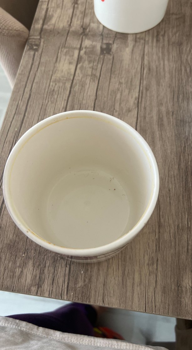 Mor Kapaklı Yuvarlak Saklama Kabı Seti 3 lü - Görsel 3