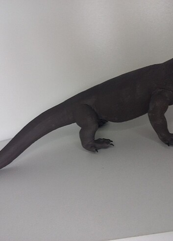 Diğer Komodo ejderi