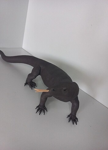 Beden Komodo ejderi