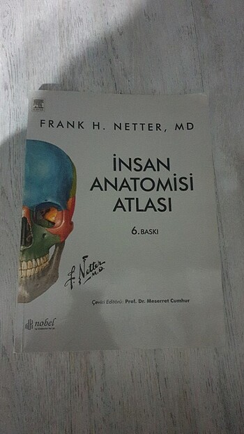 Netter anatomi atlasi