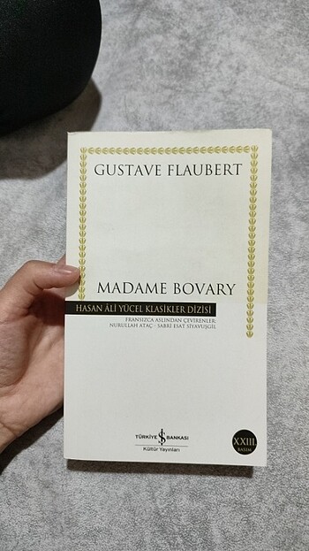 Madame Bovary - Görsel 2