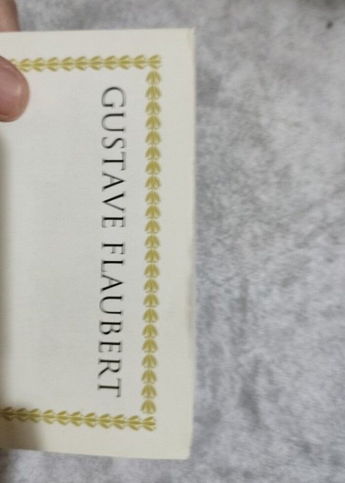 Madame Bovary - Görsel 4