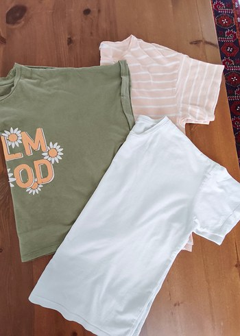 mango 13-14 Yaş
