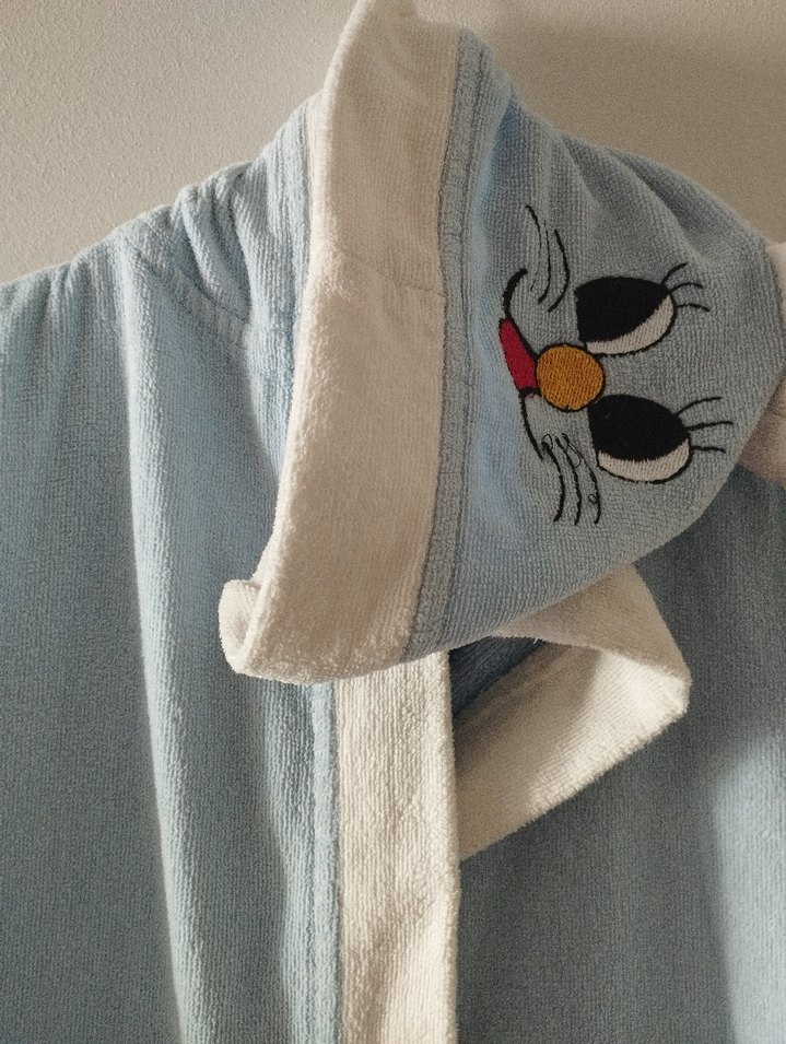 Kapüşonlu Erkek Çocuk Bornoz - Mavi - Görsel 3