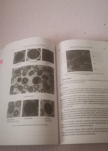 Anatomi ve Fizyoloji İnsan Biyolojisi Kitabı - Görsel 4